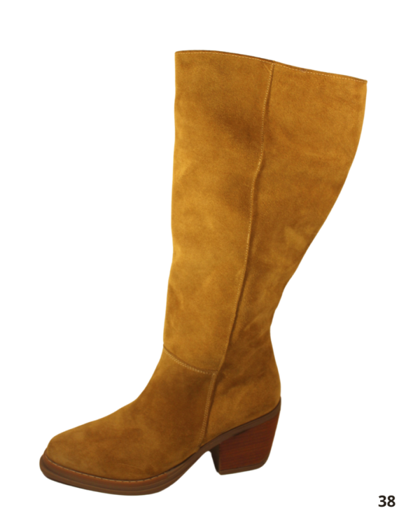 Bota de Reno