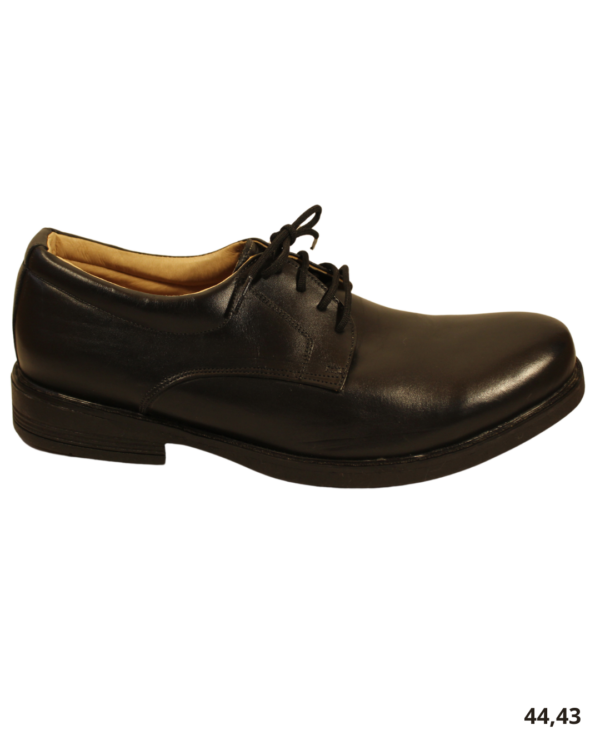 Zapato de vestir varón